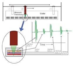 Fig1depiction Fig1depiction