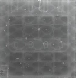 1112 Insp Fig2 1112 Insp Fig2