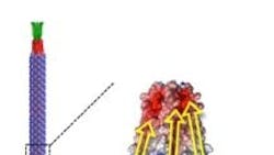 Powerelectronics 880 Proteins 0 Powerelectronics 880 Proteins 0