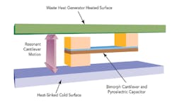 1305 Green Fig3 1305 Green Fig3