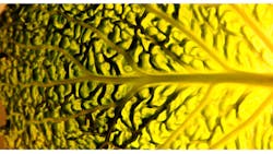 Electronicdesign Com Sites Electronicdesign com Files Uploads 2014 03 0414 Ed Eeditorial Fig1 Electronicdesign Com Sites Electronicdesign com Files Uploads 2014 03 0414 Ed Eeditorial Fig1