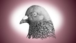 Powerelectronics 4338 0915pidge Powerelectronics 4338 0915pidge