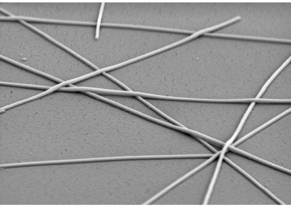 Electronicdesign Com Sites Electronicdesign com Files Uploads 2015 02 Cambrios Magnified Silver Nanowires70degreetilt