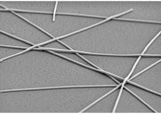 Electronicdesign Com Sites Electronicdesign com Files Uploads 2015 02 Cambrios Magnified Silver Nanowires70degreetilt