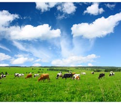 Electronicdesign Com Sites Electronicdesign com Files Uploads 2015 02 Cows Part 3 Electronicdesign Com Sites Electronicdesign com Files Uploads 2015 02 Cows Part 3