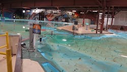 4. No, that is not junk floating around in the bottom of the model. The designers employed vertical copper strips spread throughout to properly simulate the proper hydraulic flow because liquid movement differs as the environment is scaled down. 4. No, that is not junk floating around in the bottom of the model. The designers employed vertical copper strips spread throughout to properly simulate the proper hydraulic flow because liquid movement differs as the environment is scaled down.