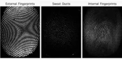 Bitflow Fingerprints 300x147 Bitflow Fingerprints 300x147