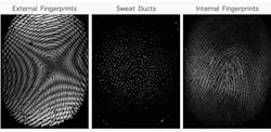 Bitflow Fingerprints Bitflow Fingerprints