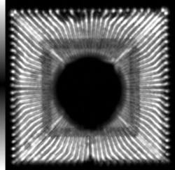 1612 Acous Fig1 300x291 1612 Acous Fig1 300x291