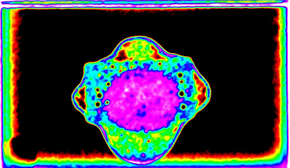 Powerelectronics Com Sites Powerelectronics com Files Uploads 2016 09 27 Adams 3 Format