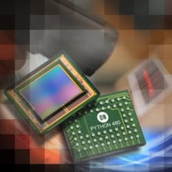 Python480 750x750px 300x300 Python480 750x750px 300x300