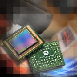 Python480 750x750px Python480 750x750px