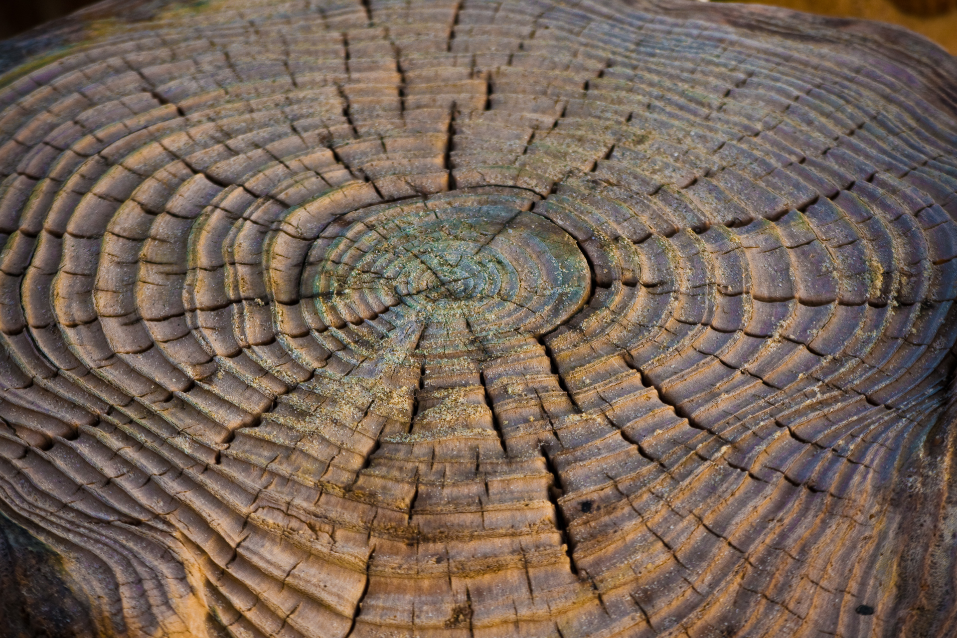 Powerelectronics 5492 3829280573 403072a1e8 O 0