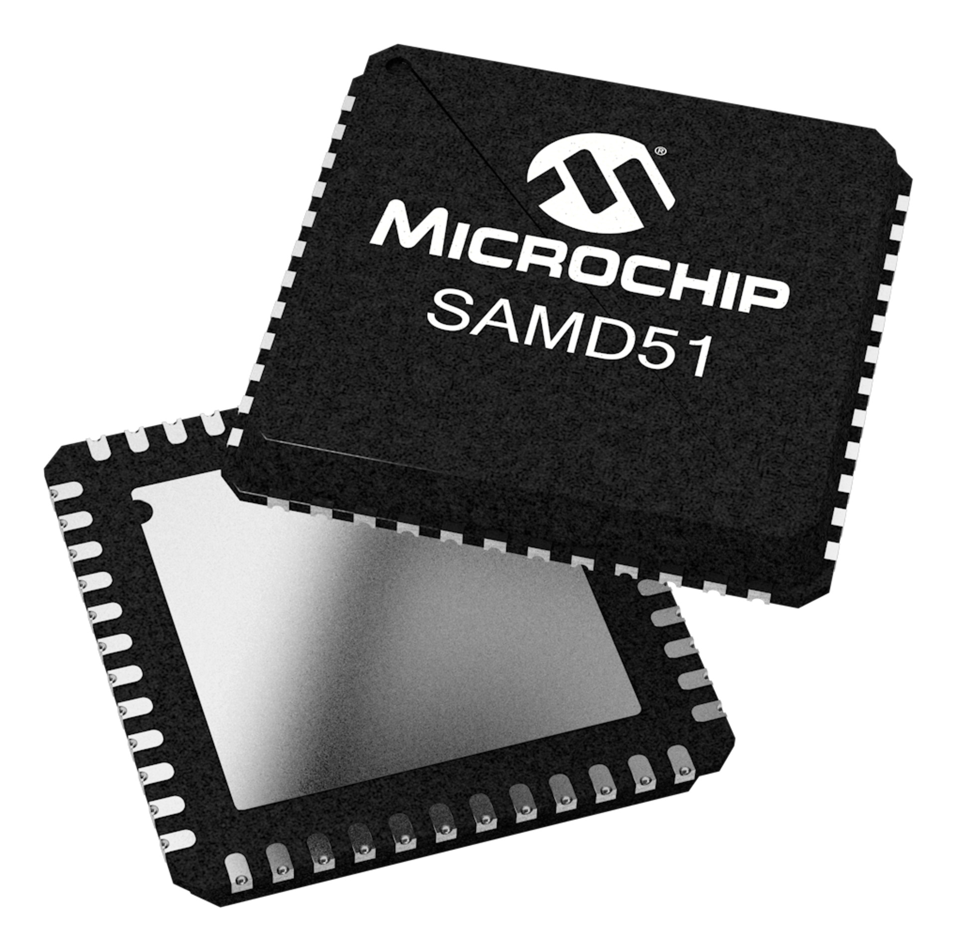 Microchip
