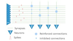 Www Electronicdesign Com Sites Electronicdesign com Files Brain Chip Fig1 Www Electronicdesign Com Sites Electronicdesign com Files Brain Chip Fig1