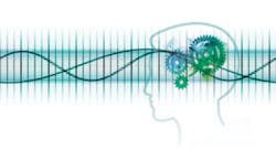 Ee Research Insight Ee Research Insight