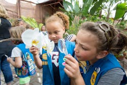 Www Electronicdesign Com Sites Electronicdesign com Files Link Arboretum 182 Www Electronicdesign Com Sites Electronicdesign com Files Link Arboretum 182