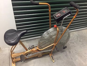 Schwinn airdyne sales 1990