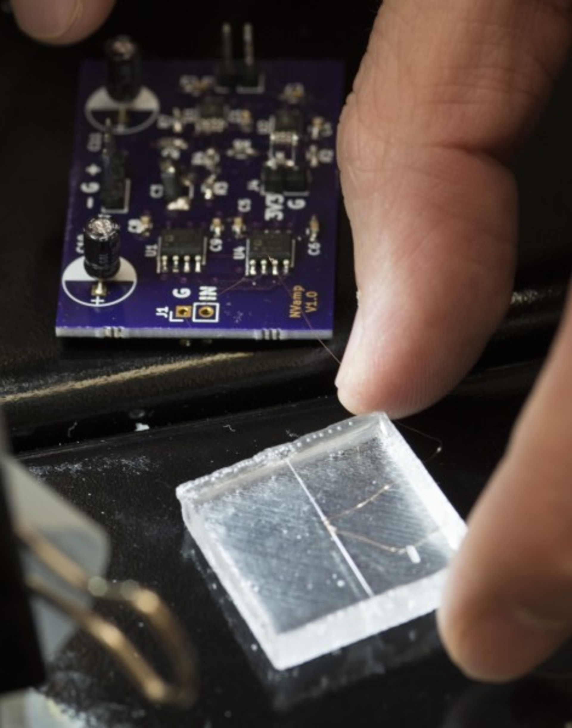 David Caselli Kennesaw State University