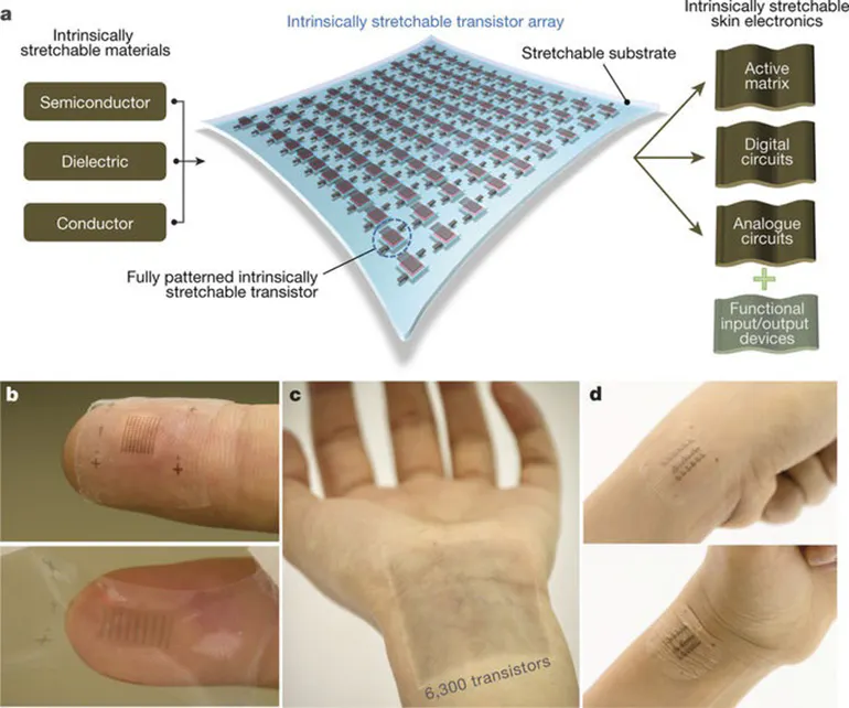 The Human Touch: Stretchable Electronic Skin Can