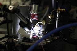 Tek Iemn Experiment Tek Iemn Experiment