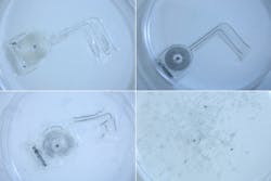 181008114558 1 900x600 181008114558 1 900x600