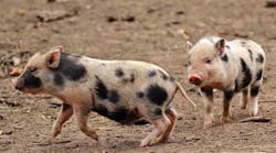 1811techinsightsfig1 1811techinsightsfig1