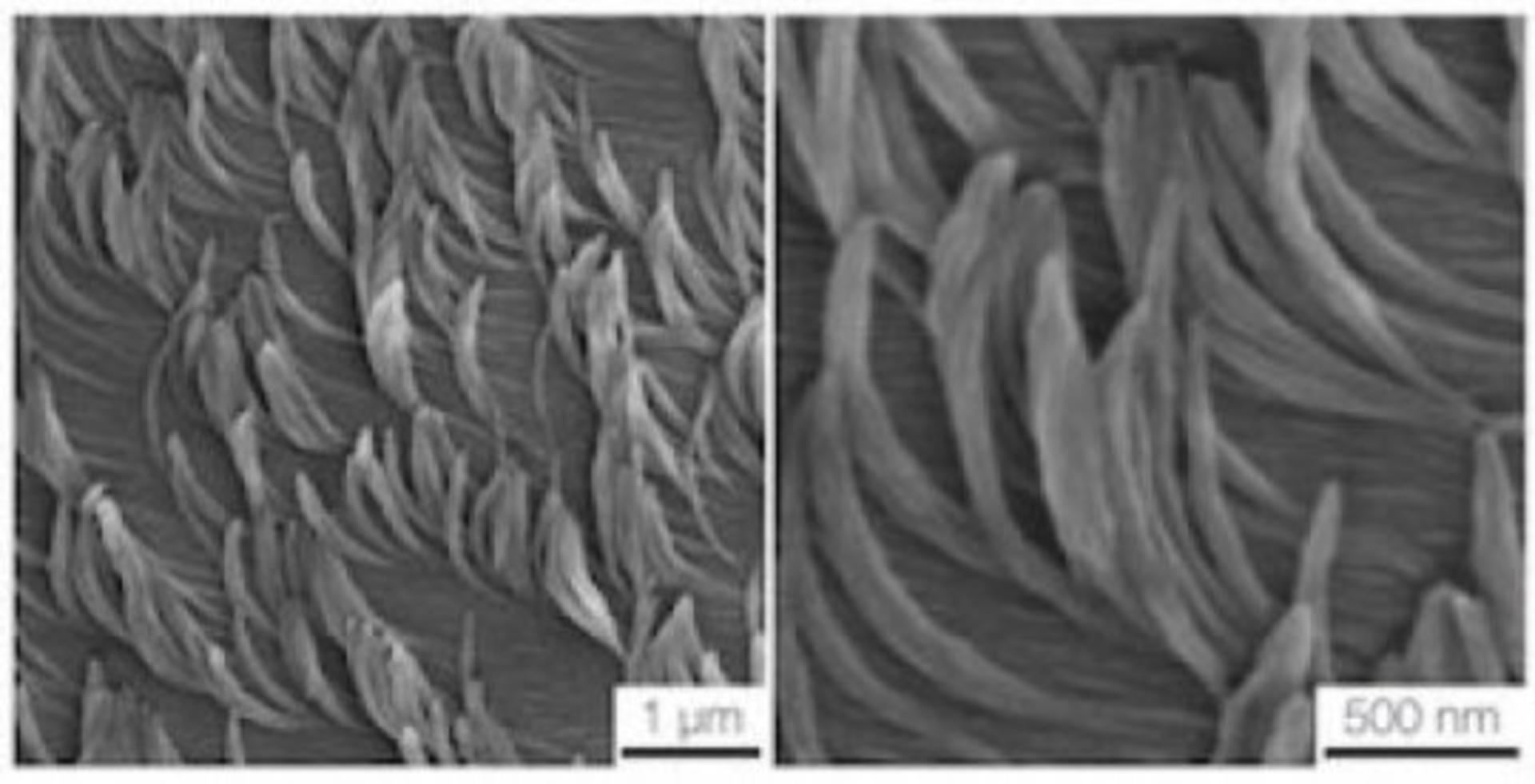 181115144906 1 540x360