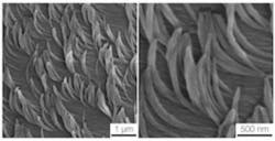 181115144906 1 540x360 181115144906 1 540x360