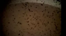 Ds9FEc_U0AguaqB
