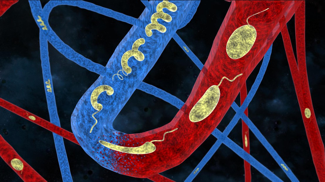 1108x622 5c4f2b5d13b48