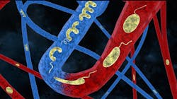 1108x622 5c4f2b5d13b48 1108x622 5c4f2b5d13b48