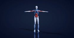 Awer 5c4f6c394a2e6 Awer 5c4f6c394a2e6