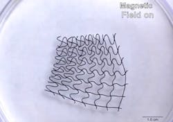 Ssd 5c4f229a3ad1d Ssd 5c4f229a3ad1d