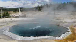 Crested Pool