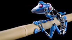 How Man-Made Neural Networks Emulate Biology to Advance AI and ML How Man-Made Neural Networks Emulate Biology to Advance AI and ML