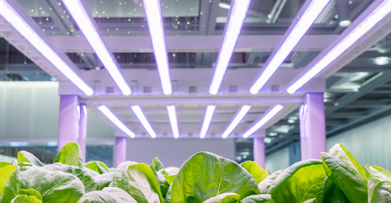 电子设计，Avnet Regimage 031919