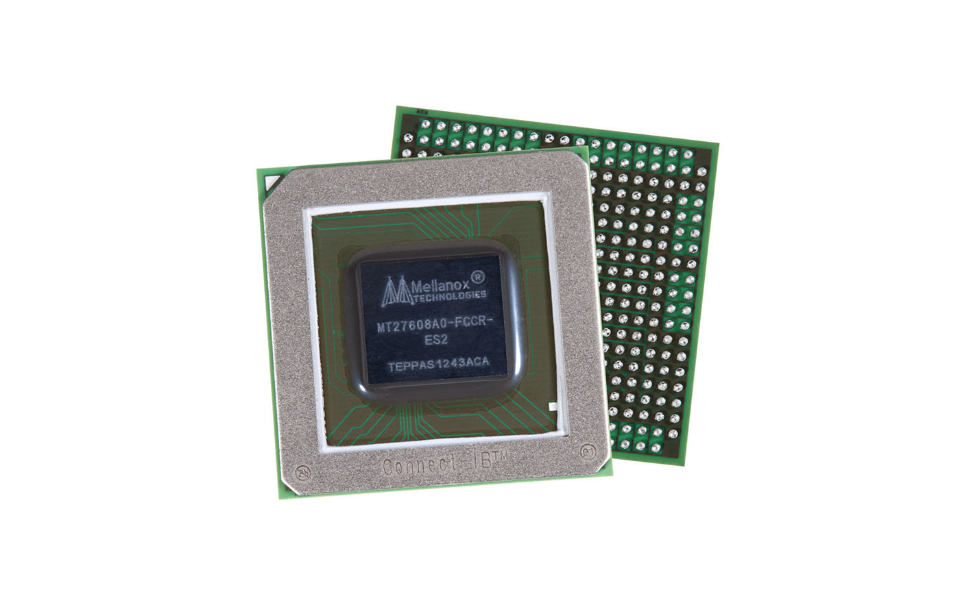 (Image courtesy of Mellanox Technologies).