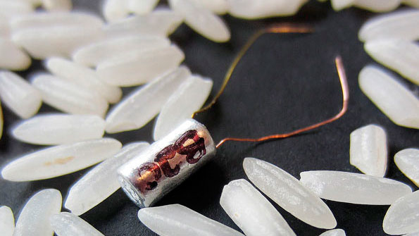 Researchers at the Pacific Northwest National Laboratory have developed a smaller and more powerful microbattery that will improve studies that track the migration of salmon and other fish courtesy of the Pacific Northwest National Laboratory