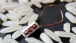 Researchers at the Pacific Northwest National Laboratory have developed a smaller and more powerful microbattery that will improve studies that track the migration of salmon and other fish courtesy of the Pacific Northwest National Laboratory