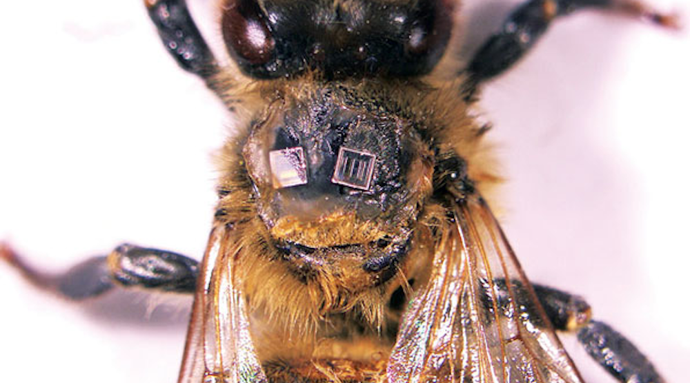 Electronicdesign 7674 Promo Electronicdesign 7674优惠