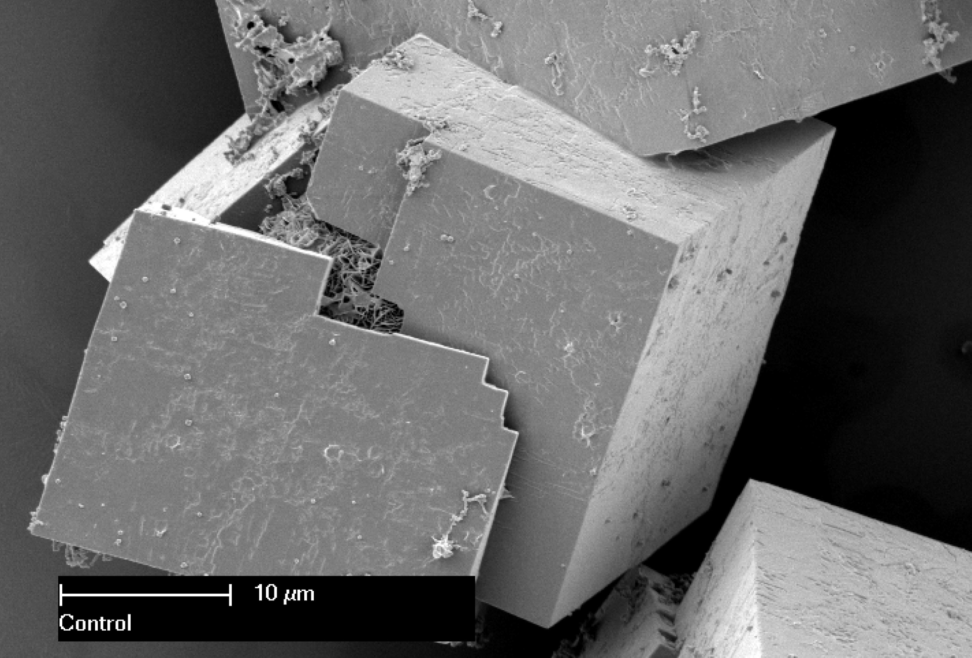Scanning electron microscope image of MOF crystals whose enormous surface areas can help squeeze more transistors onto microchips making them faster and more powerful Image courtesy of CSIRO
