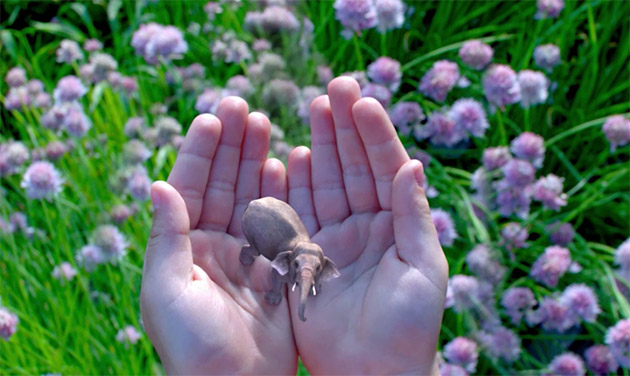 ElectrimeDesign 8588 Magic Leap YouTube