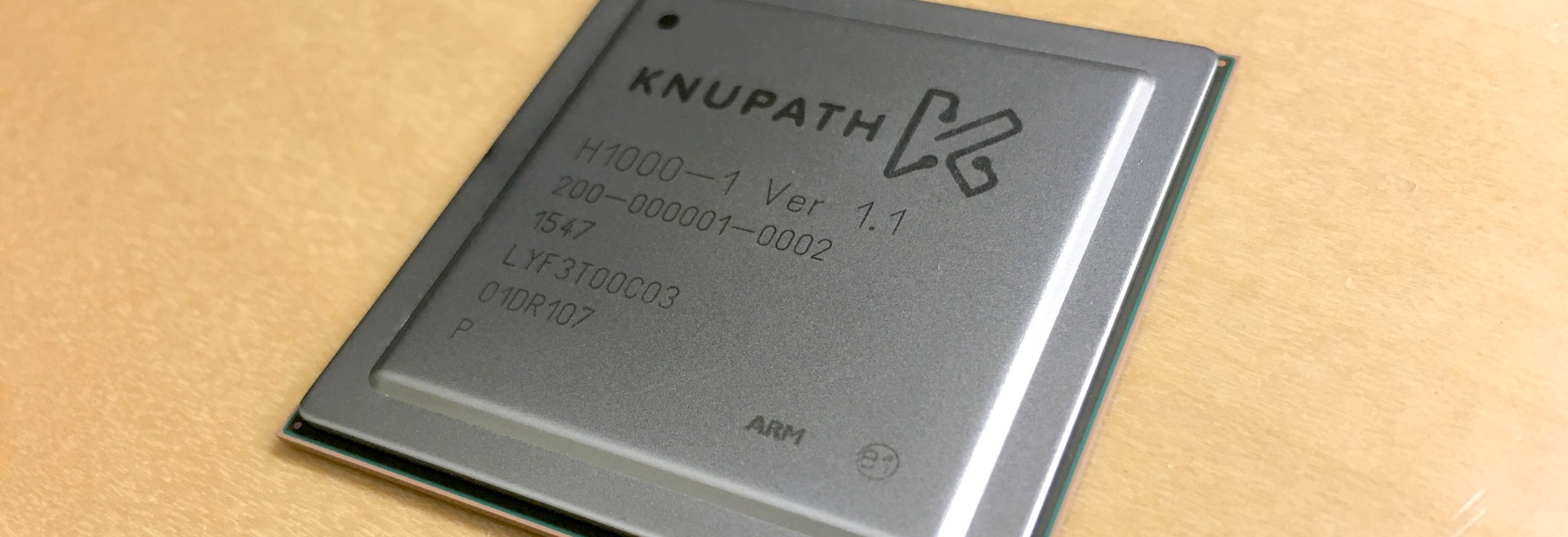 The Hermosa chip Image courtesy of KnuEdge