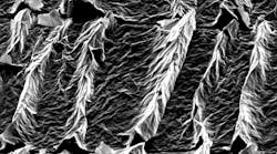 Wrinkled sheets of graphene oxide, an extremely thin lattice of hydrogen, carbon, and oxygen molecules. New research has shown that more severe wrinkles can vastly enhance its electrochemical properties. (Image courtesy of Hurt Laboratory, Brown University).