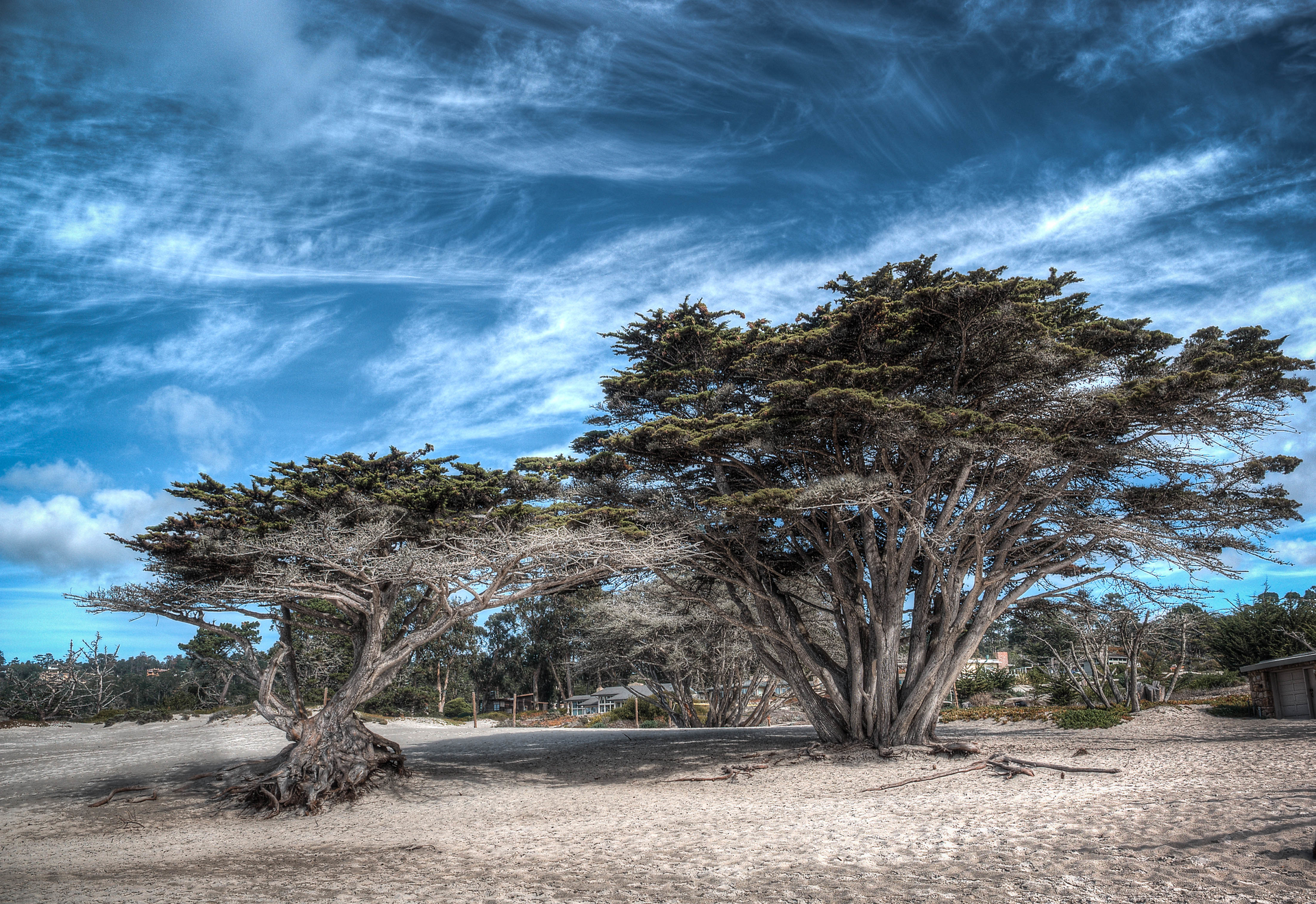 Image courtesy of Brandon Flickr