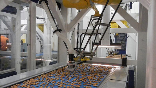 FPGAbased hardware is being used to enhance the capabilities of hyperspectral cameras which are often used to direct actuators in automated food sorting Image courtesy of Resonon