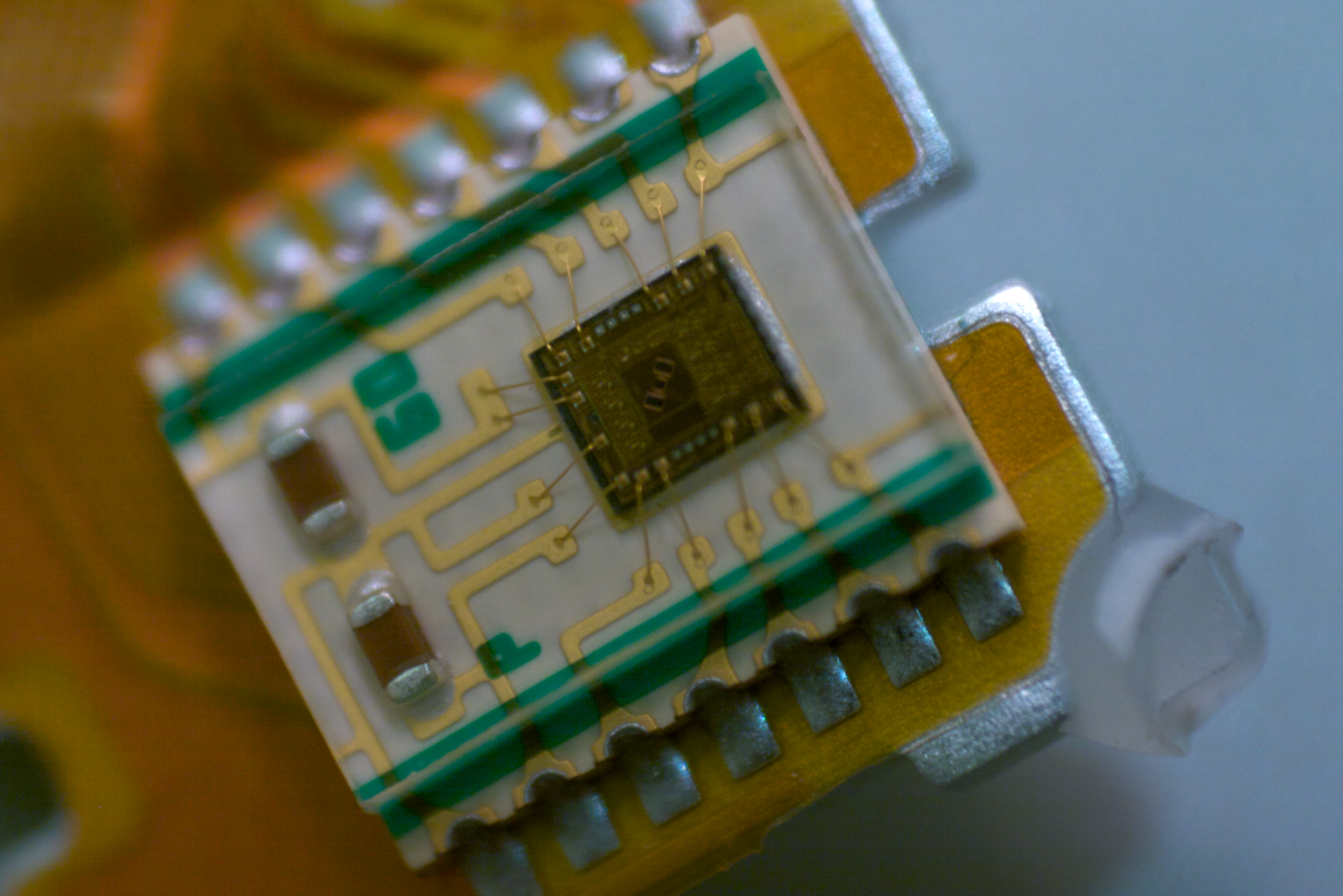 (图片由Creative Commons的Oliver Leitzgen提供)。