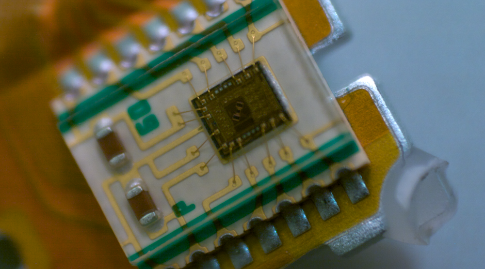 (Image courtesy of Oliver Leitzgen, Creative Commons). (图片由Oliver Leitzgen提供,Creative Commons)。