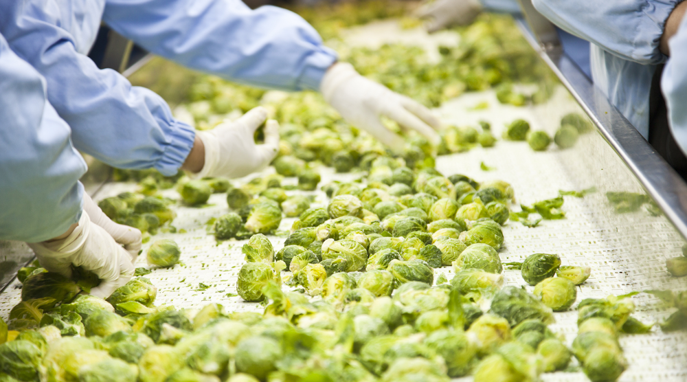 (Image courtesy of Thinkstock). (图像由ThinkStock提供)。